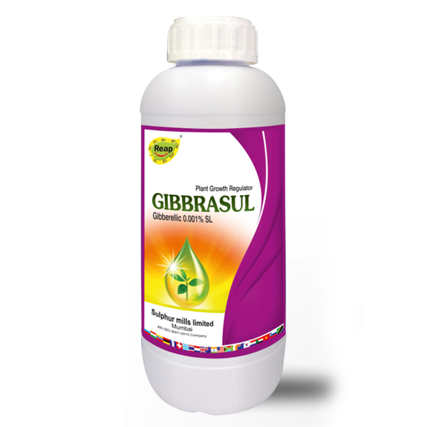 gibbrASUL