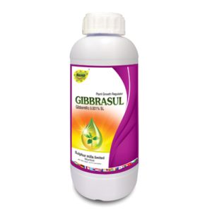 Gibbrasul