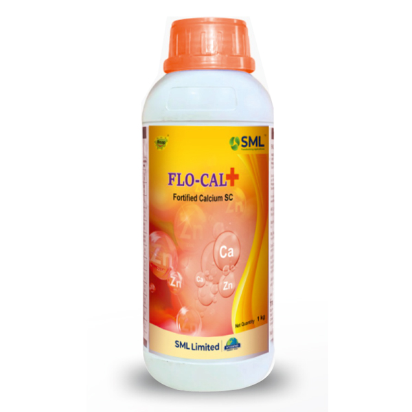 flocal