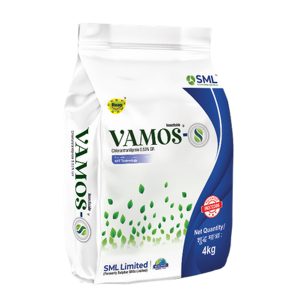 Vamos- S