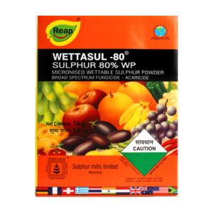 wettasul
